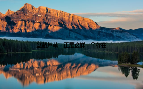 盆栽芦苇, 正是这样一个存在