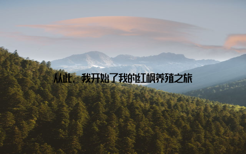 从此, 我开始了我的红枫养殖之旅