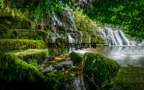 然后, 光照也是关键