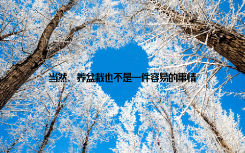 当然, 养盆栽也不是一件容易的事情