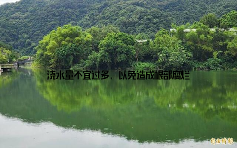 浇水量不宜过多, 以免造成根部腐烂