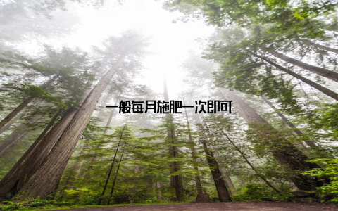 一般每月施肥一次即可