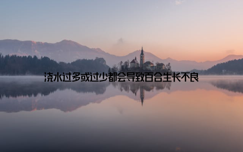 浇水过多或过少都会导致百合生长不良