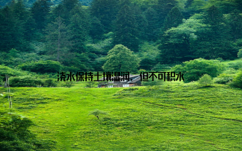 浇水保持土壤湿润, 但不可积水