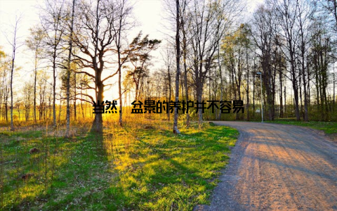 当然, 盆景的养护并不容易