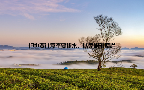 但也要注意不要积水, 以免根部腐烂