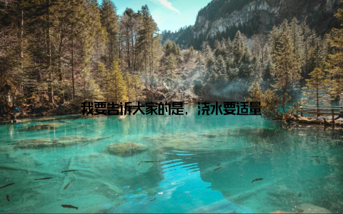 我要告诉大家的是, 浇水要适量