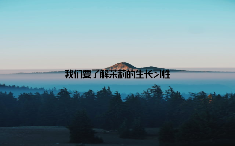 我们要了解茉莉的生长习性